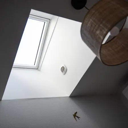 Apartment Sapio Angers