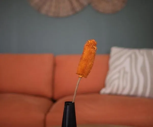 Appartement Sapio Angers